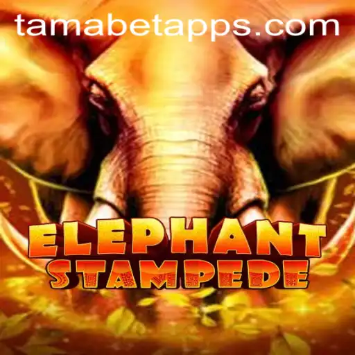 Discover the Thrilling World of ElephantStampede: A Journey with Tamabet
