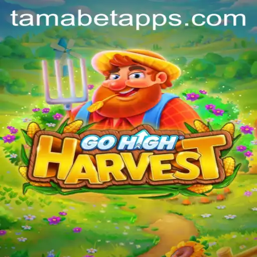 GoHighHarvest: The Enchanting World of Tamabet
